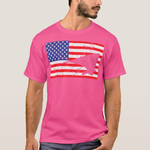 Distressed Hang Gliding Usa American Flag Glider T-Shirt