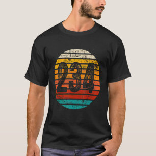 Distressed Vintage Sunset 234 Area Code T-Shirt