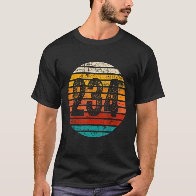 Distressed Vintage Sunset 234 Area Code T-Shirt (Front)