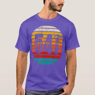 Distressed Vintage Sunset 541 Area Code T-Shirt