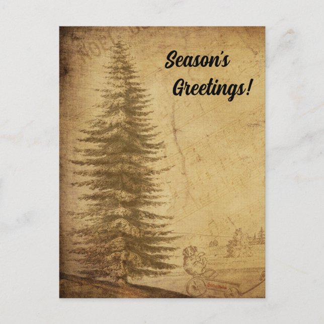 Distressed Vintage Xmas Tree Season's Greetings Postcard (Front)