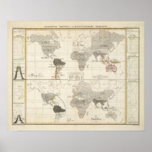 Distribution of birds and amphibians poster