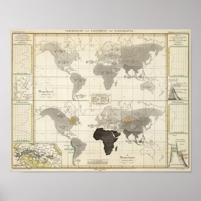 Distribution of rodents and animals poster (Front)