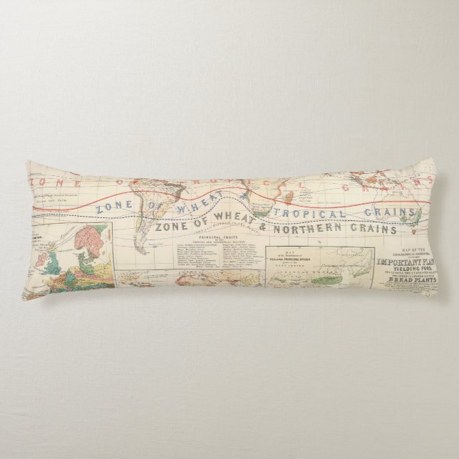 Distribution plants body cushion (Front)