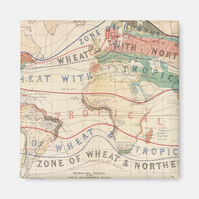 Distribution plants magnet (Front)