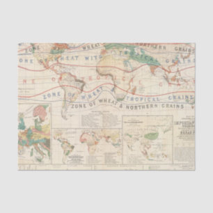 Distribution plants tissue paper