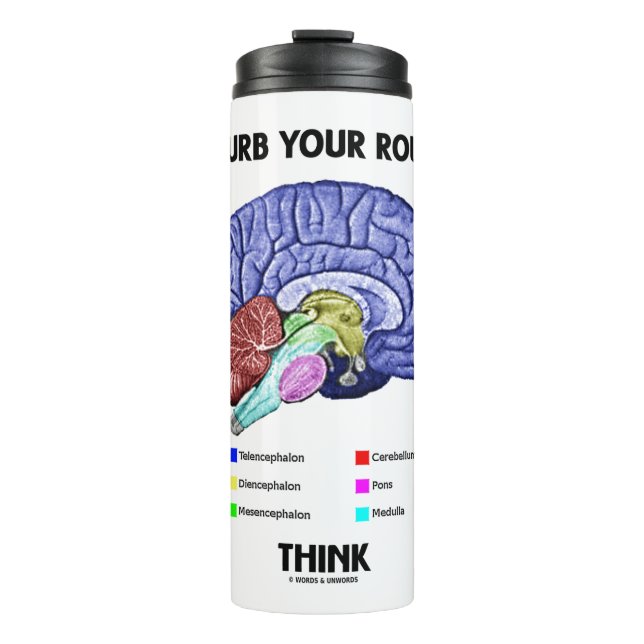 Disturb Your Routine Think Brain Anatomy Advice Thermal Tumbler (Front)