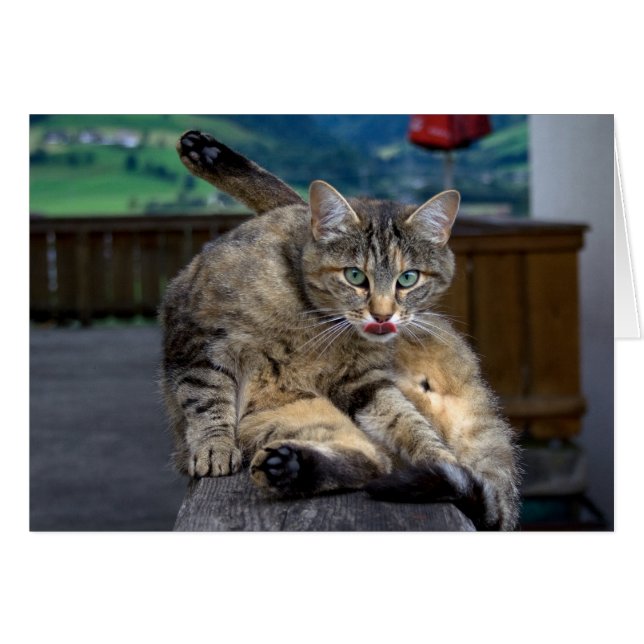 Disturbed While Cleaning (Front Horizontal)