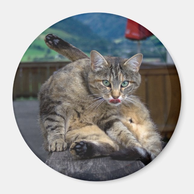 Disturbed While Cleaning Magnet (Front)