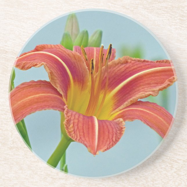 Ditch Lily Coaster (Front)