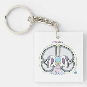DITKI Cerebrum Keychain