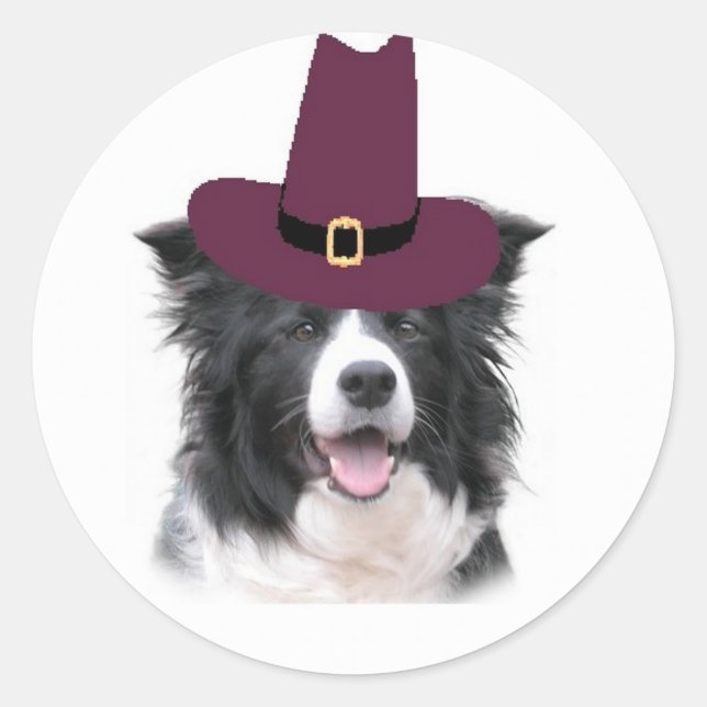 Ditzy Dogs~Border Collie Sticker~Thanksgiving Classic Round Sticker (Front)