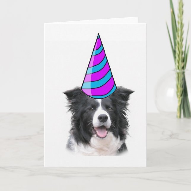 Ditzy Dogs~Greeting Card~Border Collie Birthday Card (Front)
