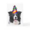 Ditzy Dogs~Original Notecard~Border Collie~B'day