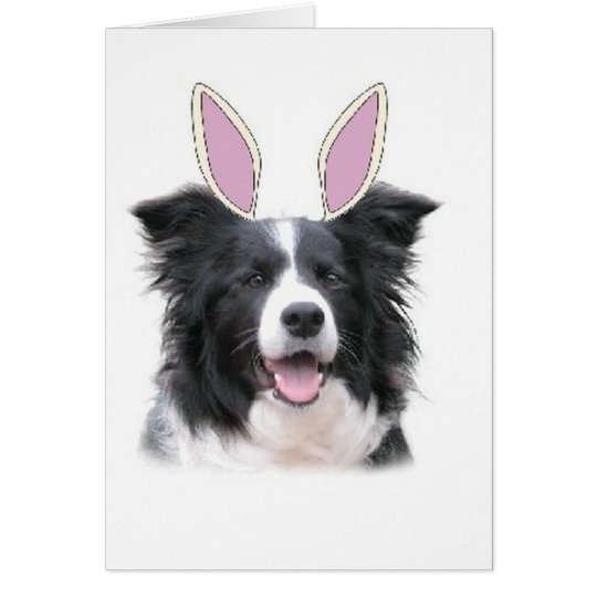 Ditzy Dogs~Original Notecard~Border Collie~Easter Card