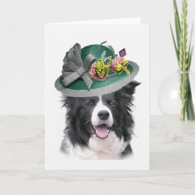 Ditzy Dogs~Original Notecard~Border Collie~Easter Holiday Card (Front)