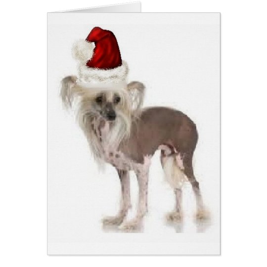 Ditzy Dogs~Original Notecard~Chinese Crested Card
