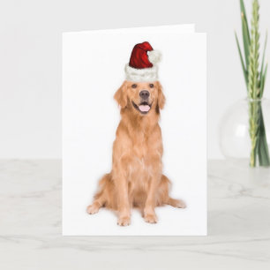 Ditzy Dogs~Original Notecard~Golden Retriever Holiday Card