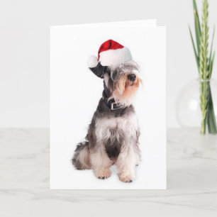 Ditzy Dogs~Original Notecard~Miniature Schnauzer Holiday Card