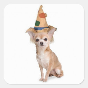 Ditzy Dogs~Original Sticker~Chihuahua~Halloween Square Sticker