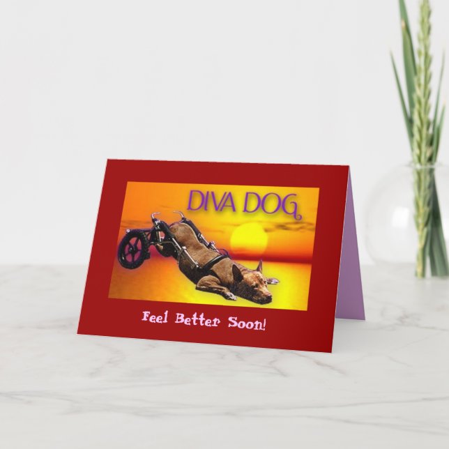 DIVA DOG "Feel Better Soon!" Greeting Card (Front)