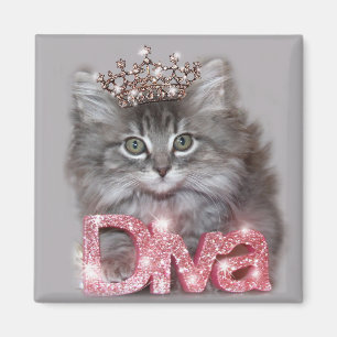 Diva Kitty witha Tiara Magnet