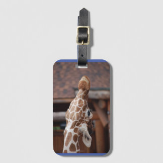 Diva Luggage Tag #1