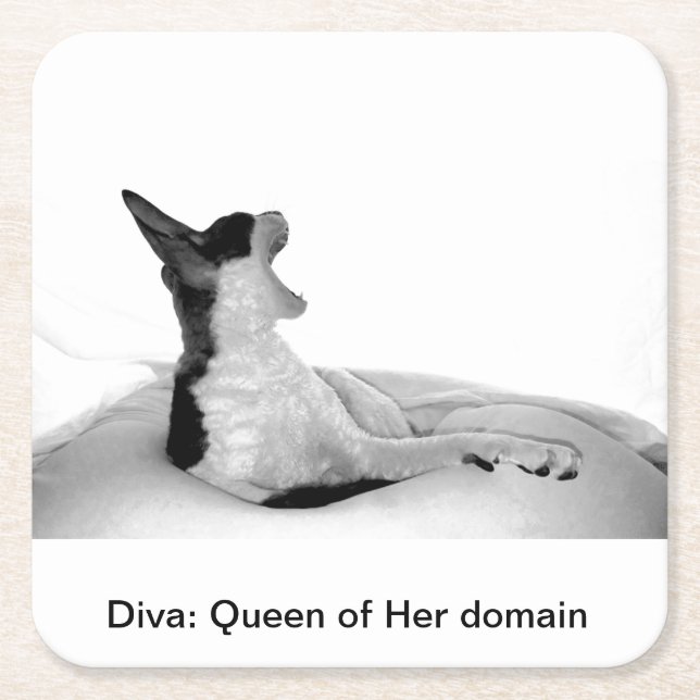 Diva: Queen of Her doman Square Paper Coaster (Front)