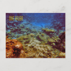 Dive Aruba Postcards