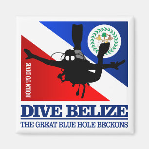 Dive Belize DF2 Magnet