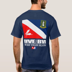 Dive BVI (sq) T-Shirt
