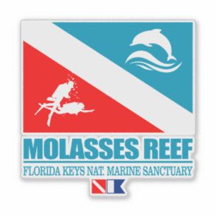 Dive Molasses Reef (sq)