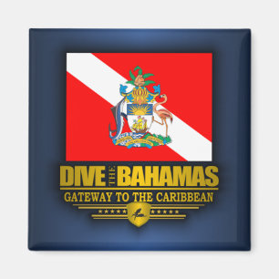 Dive the Bahamas 2 Magnet