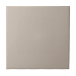 Diversely Beige Square Kitchen and Bathroom Tile