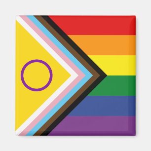Diversity and Inclusion Progress Pride Flag Magnet
