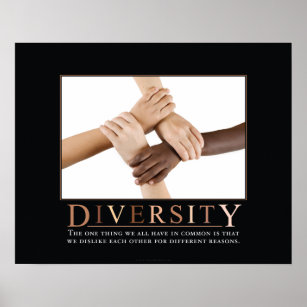 Diversity Demotivational Poster