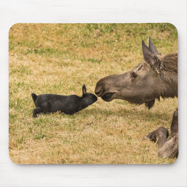 Diversity Mouse Mat (Front)