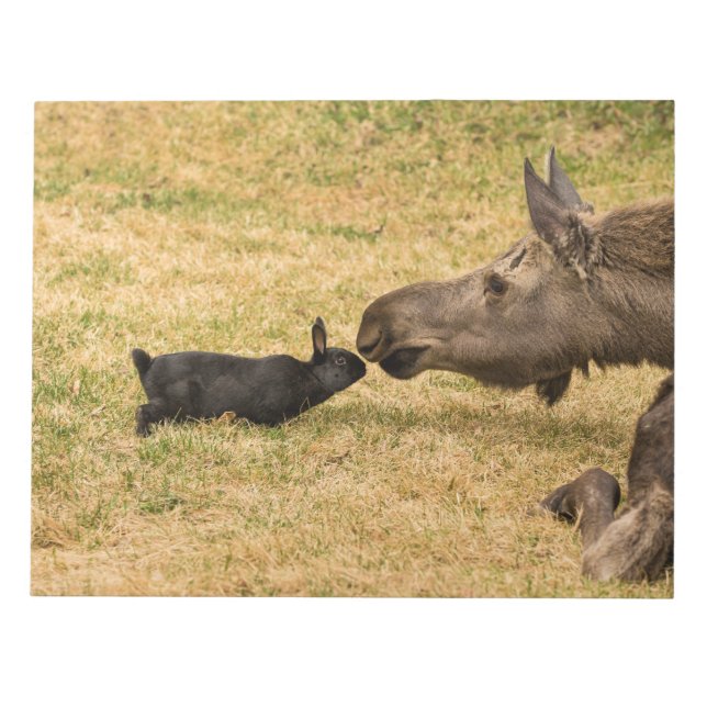 Diversity Notepad (Front)