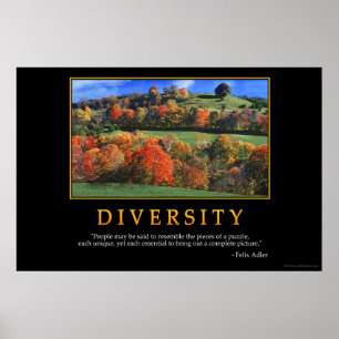 Diversity Poster