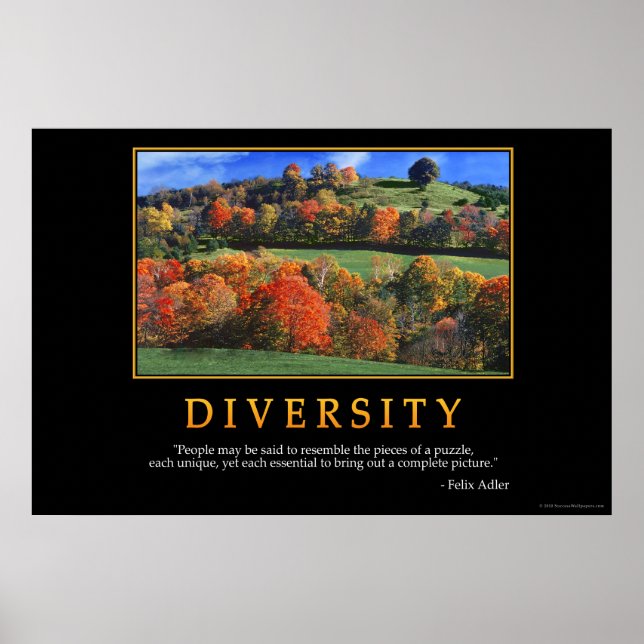 Diversity Poster (Front)