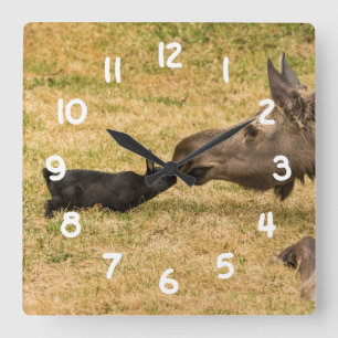 Diversity Square Wall Clock