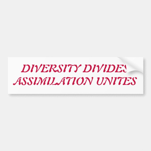 diversity sucks bumper sticker (Front)