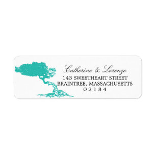 Divi Divi Tree Aruba   Return Address