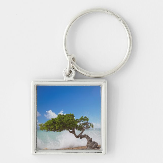 Divi Divi Tree, Eagle Beach, Aruba, Caribbean Key Ring (Front)
