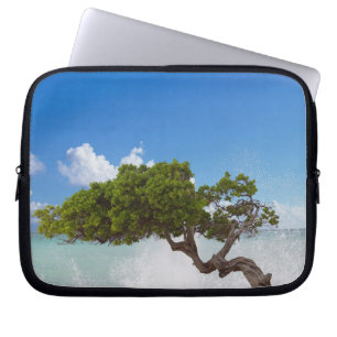 Divi Divi Tree, Eagle Beach, Aruba, Caribbean Laptop Sleeve