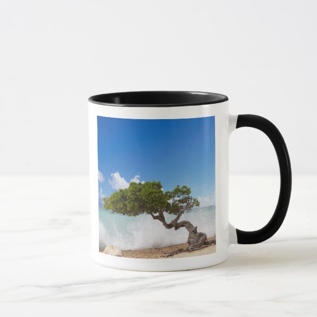 Divi Divi Tree, Eagle Beach, Aruba, Caribbean Mug (Right)