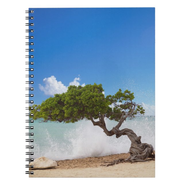 Divi Divi Tree, Eagle Beach, Aruba, Caribbean Notebook (Front)