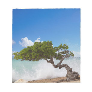 Divi Divi Tree, Eagle Beach, Aruba, Caribbean Notepad