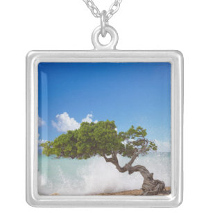 Divi Divi Tree, Eagle Beach, Aruba, Caribbean Silver Plated Necklace