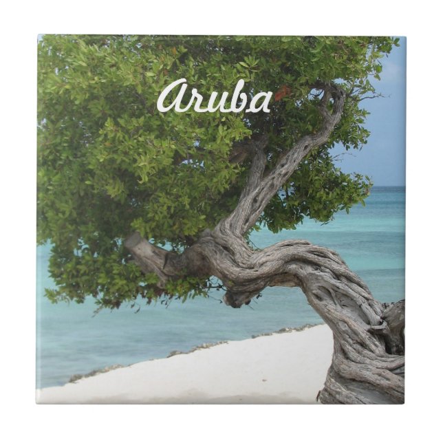 Divi Divi Tree in Aruba Tile (Front)